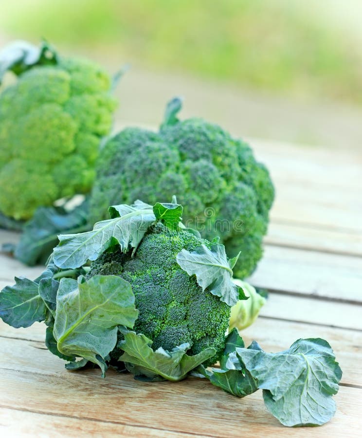 Fresh Organic Broccoli (brocolli) Stock Image Image of stem, table