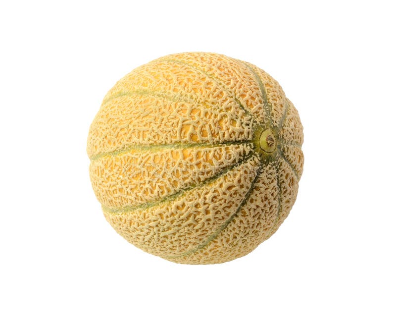 Melón de cantaloupe orgánico fresco. fotos de archivo libres de regalías