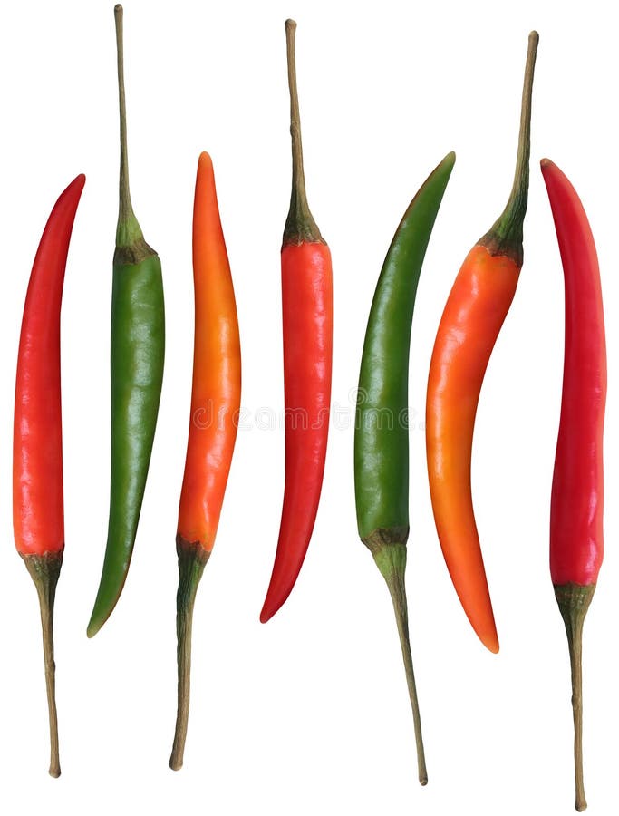 Fresh organic colorful chillies isolated on white