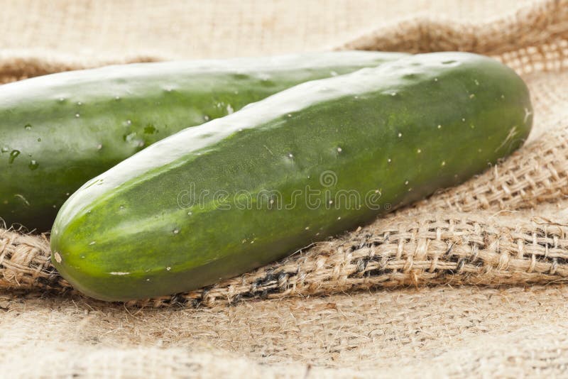 293,161 Organic Cucumber Stock Photos - Free & Royalty-Free Stock Photos  from Dreamstime