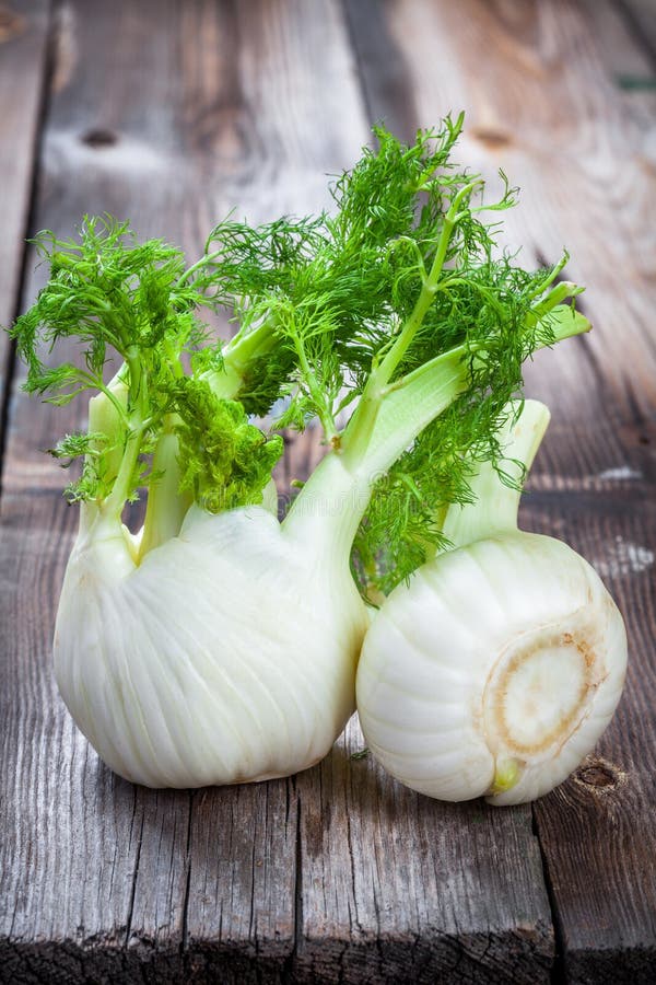 Fresh organic fennel stock photo. Image of length, agriculture 63450510