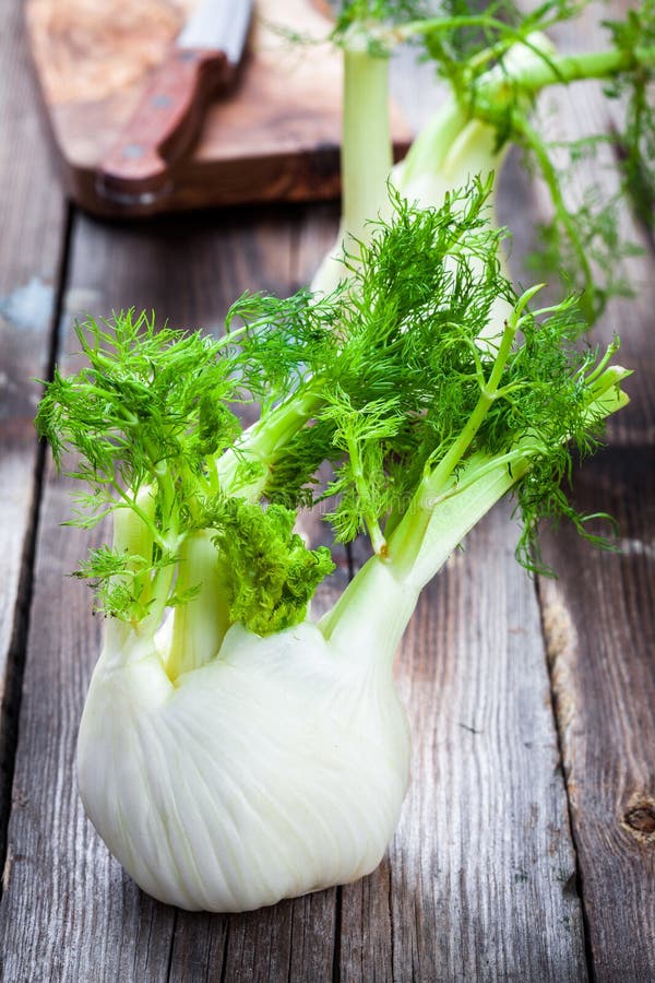 Fresh organic fennel stock image. Image of ingredient 63450675