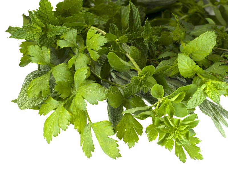 Fresh organic herbs royalty free stock photography
