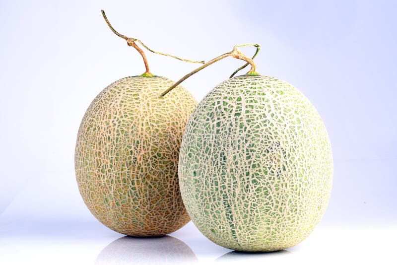 Fresh Organic Japanese Melon Isolated On White Background Stock Photo