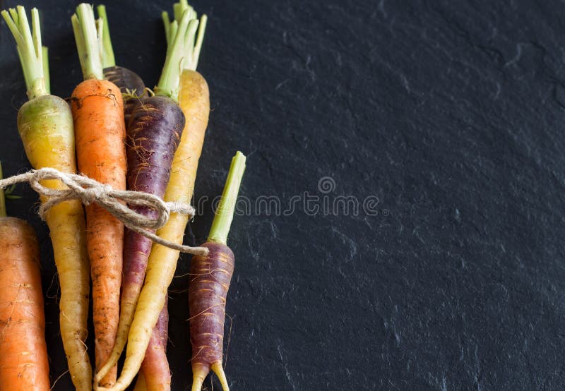 Fresh Organic Rainbow Carrots Stock Photo Image of veggie, frame