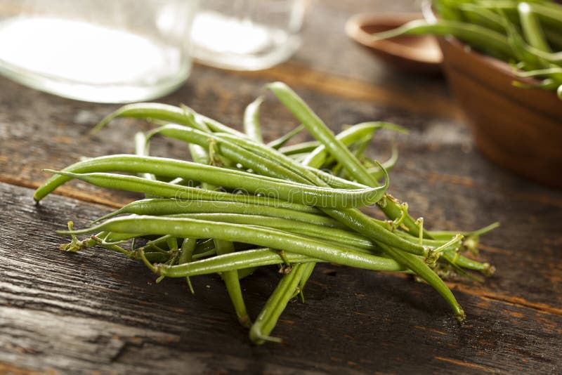 Fresh Organic Raw French Green Beans Stock Photo Image of veggie