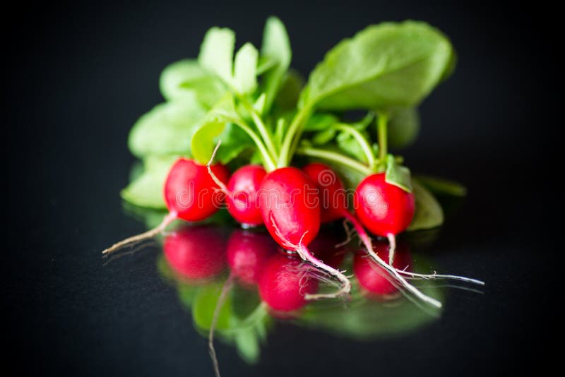 Fresh organic red radish on black background