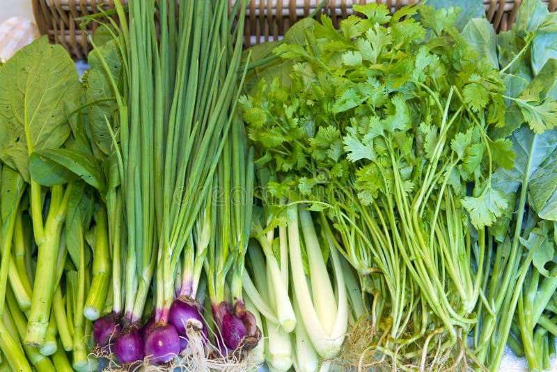 Fresh Organic Vegetables royalty free stock images