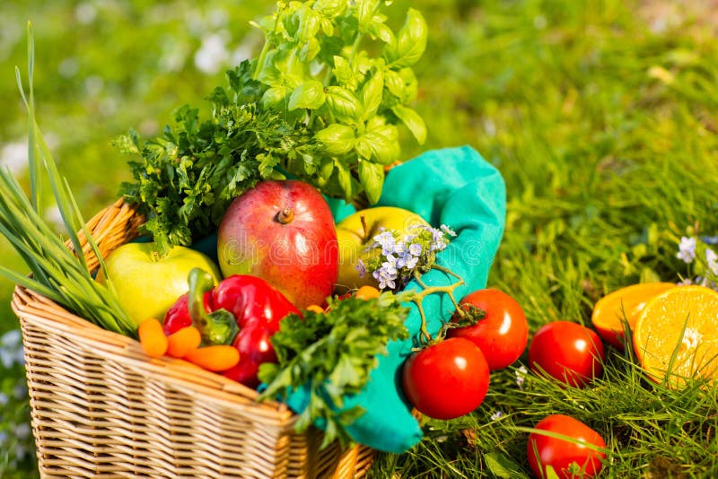 Fresh Organic Vegetables in Wicker Basket in the Garden Stock Photo