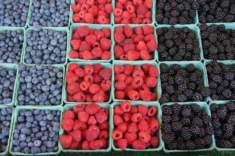 Fresh, organically grown berries