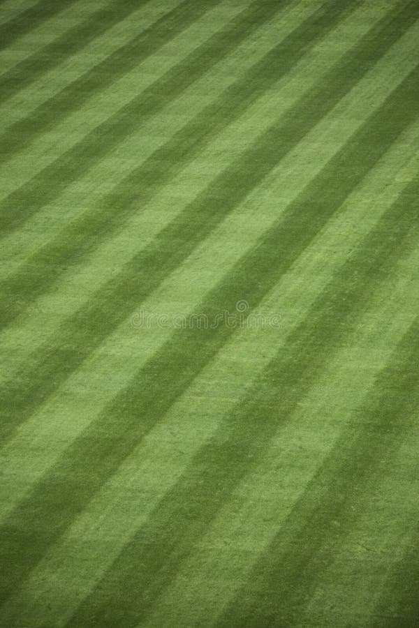 46+ Outfield Free Stock Photos StockFreeImages