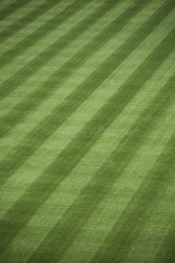 Background of manicured outfield grass at a baseball stadium. Background of manicured outfield grass at a baseball stadium.