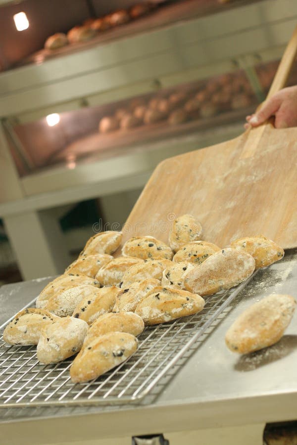 dutch crust rolls dutch crust rolls