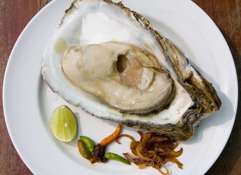 Fresh oyster stock photo. Image of gourmet, crustacean 14198890