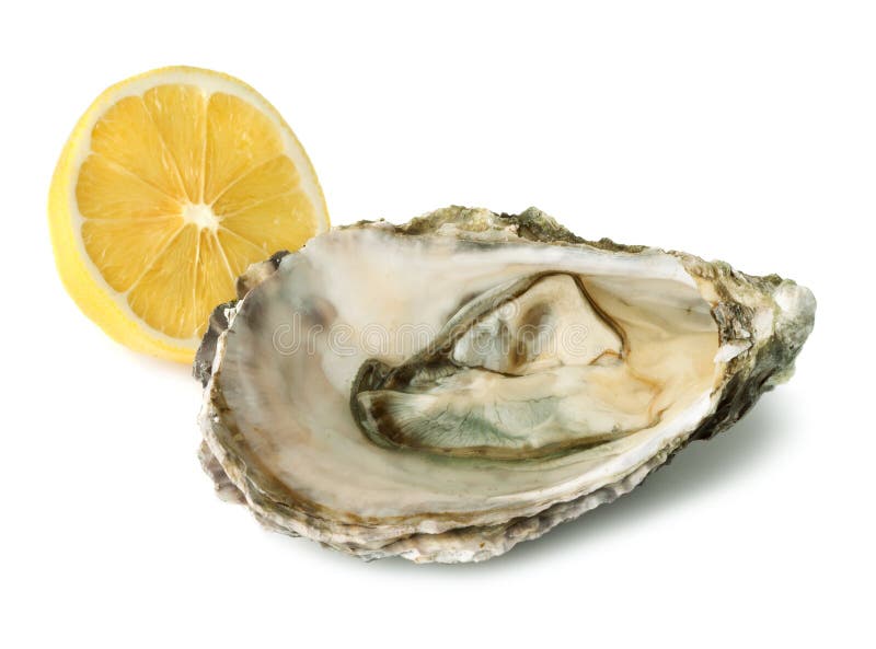 Fresh oyster and half of lemon royalty free stock photos