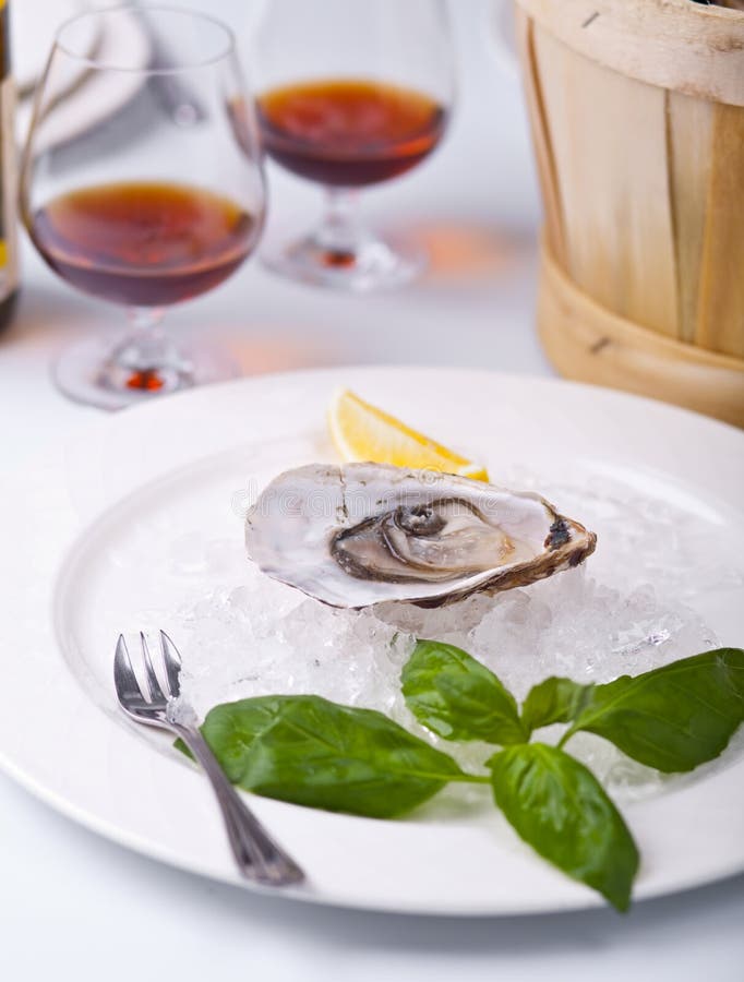 Fresh Oyster on ice stock image