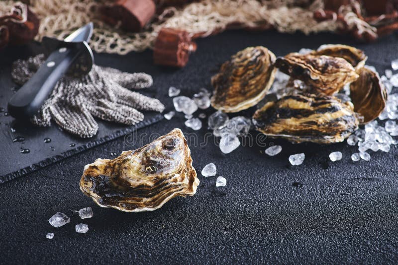 Fresh oyster on ice on a black table stock photography