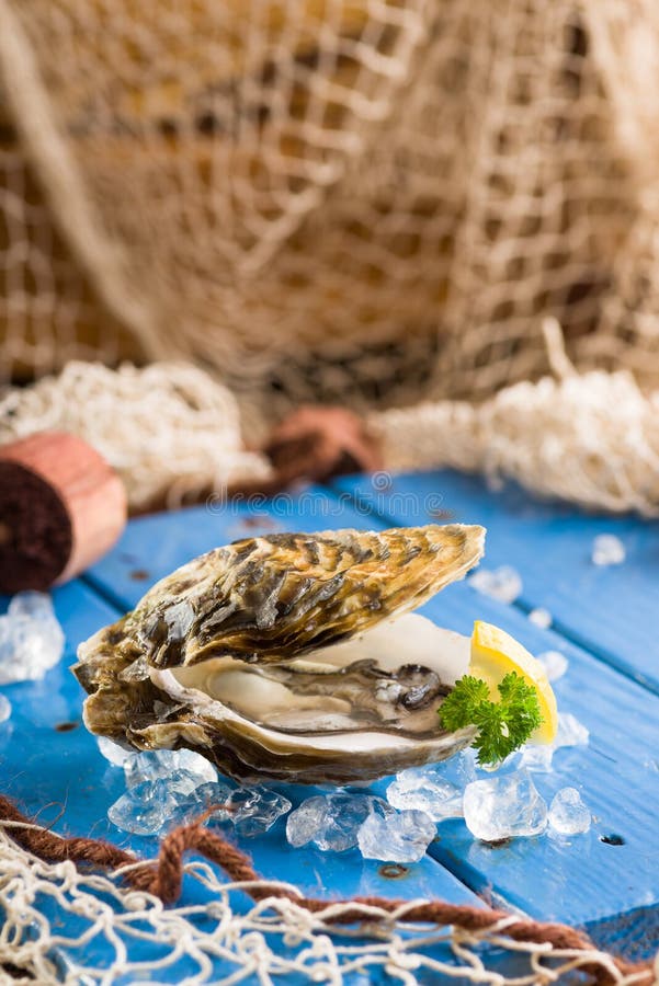 Fresh oyster on ice on a blue wooden table stock image