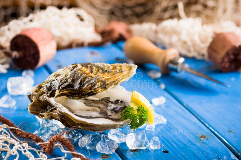 Fresh oyster on ice on a blue wooden table stock photography