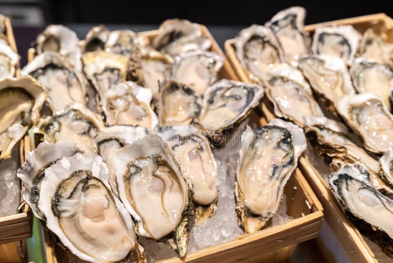 Fresh Oyster stock image