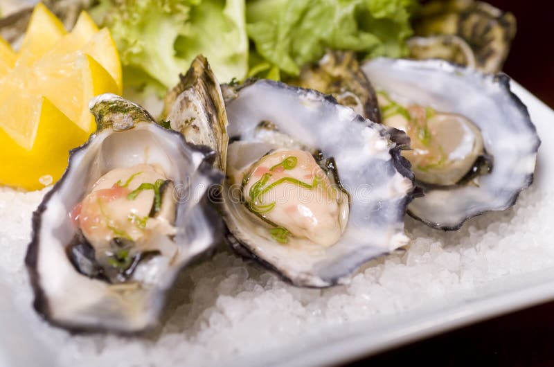 Fresh Oysters stock photo. Image of lemon, salt, oyster 14666076
