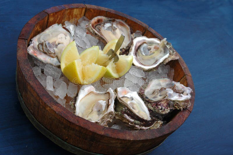 Fresh Oysters royalty free stock photography
