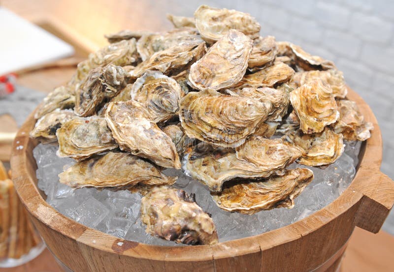 Oyster stock photo. Image of oyster, food, nourishment 7173858