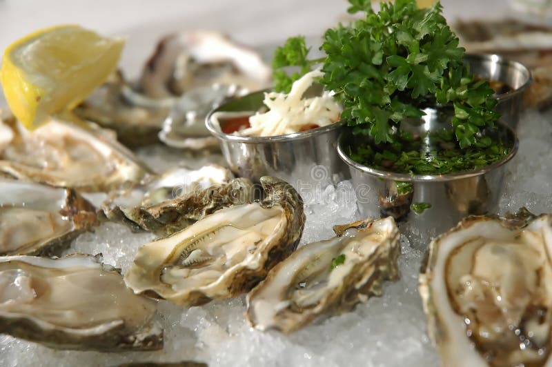 Ousters stock photo. Image of fish, fresh, ouster, dish 9123408