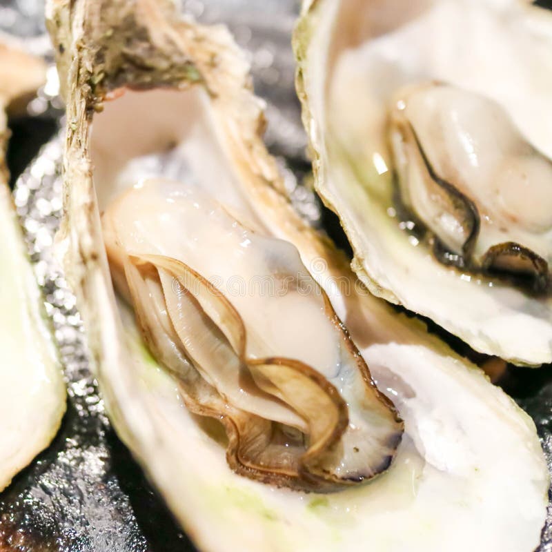 Makanan oyster
