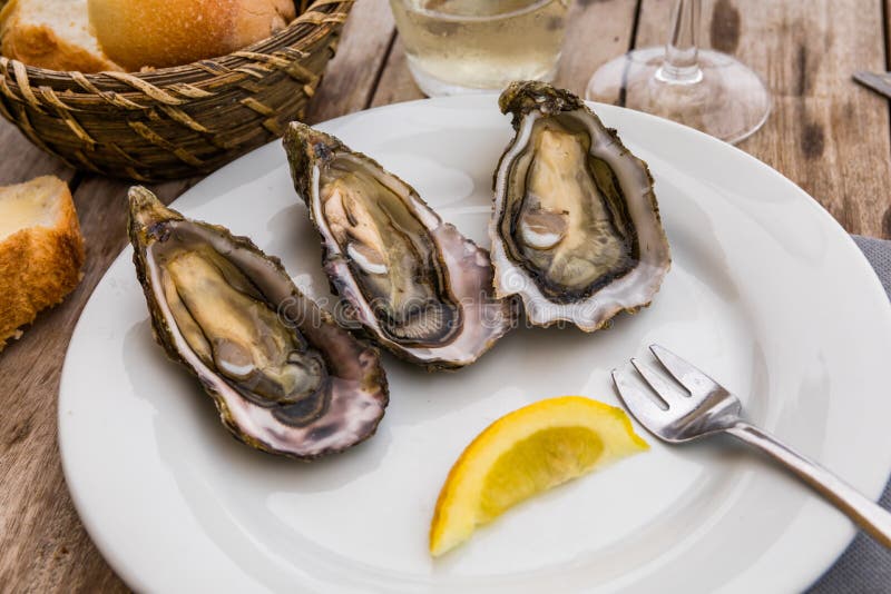 Fresh oysters with lemon, bread and butter royalty free stock image