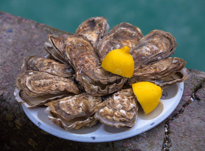 Fresh oysters with lemon at Cancale, France stock image