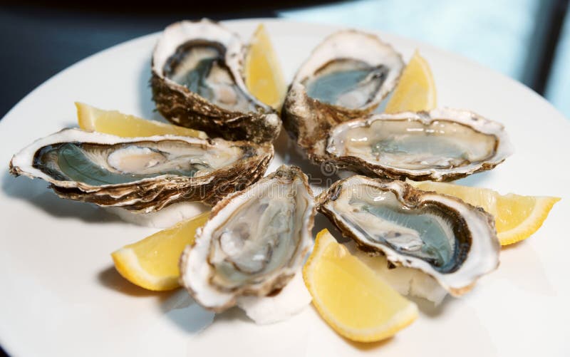 Fresh Oysters on Plate with Lemon Stock Image Image of delicatessen
