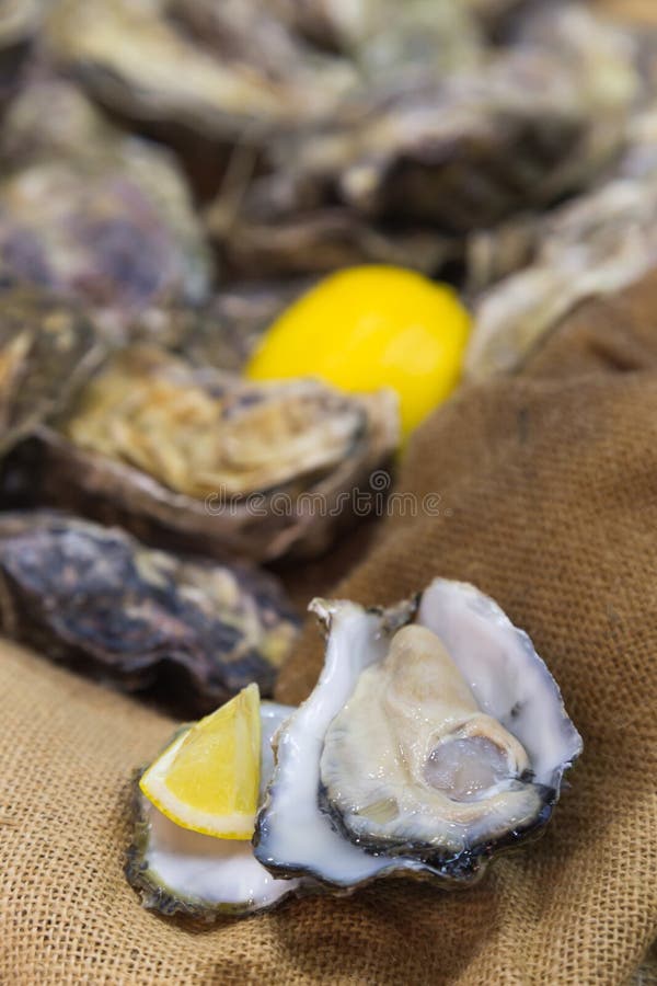 Oysters Sack Stock Photos Free & RoyaltyFree Stock Photos from