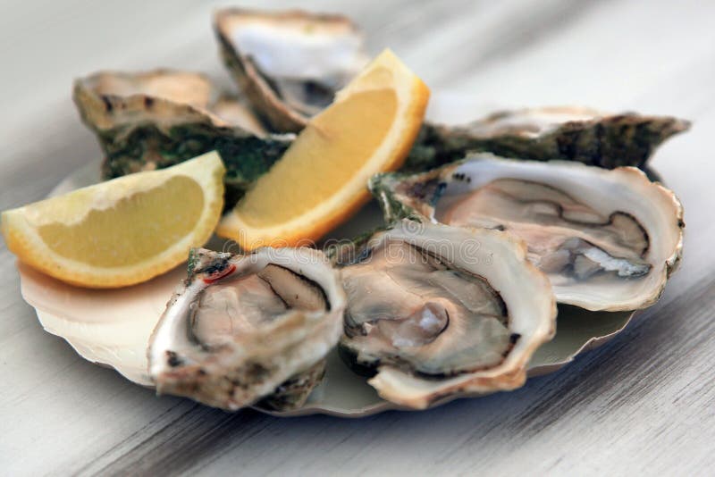 Fresh Unopened Oysters On Display Stock Image Image of unopened