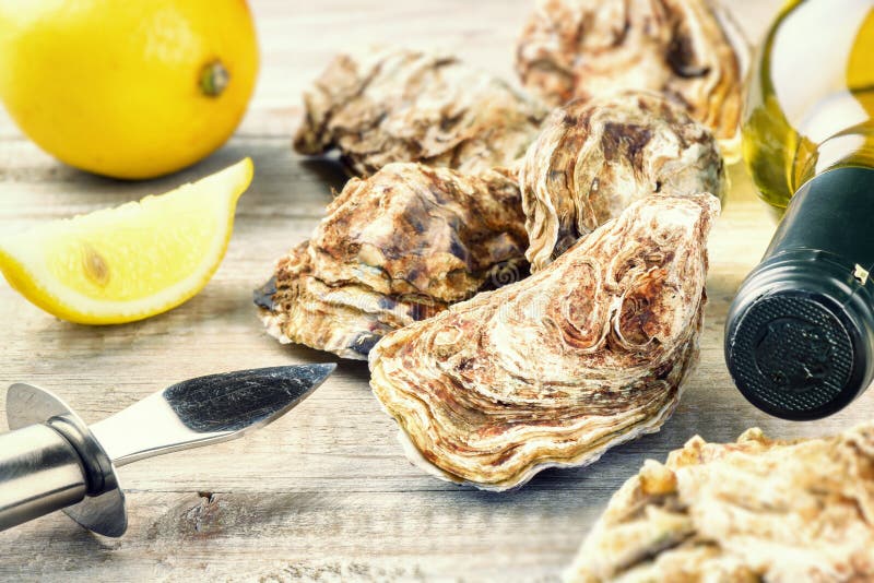 Oysters in a White Plate with Lemon and a Glass of Wine on a Wooden Table Stock Image Image of