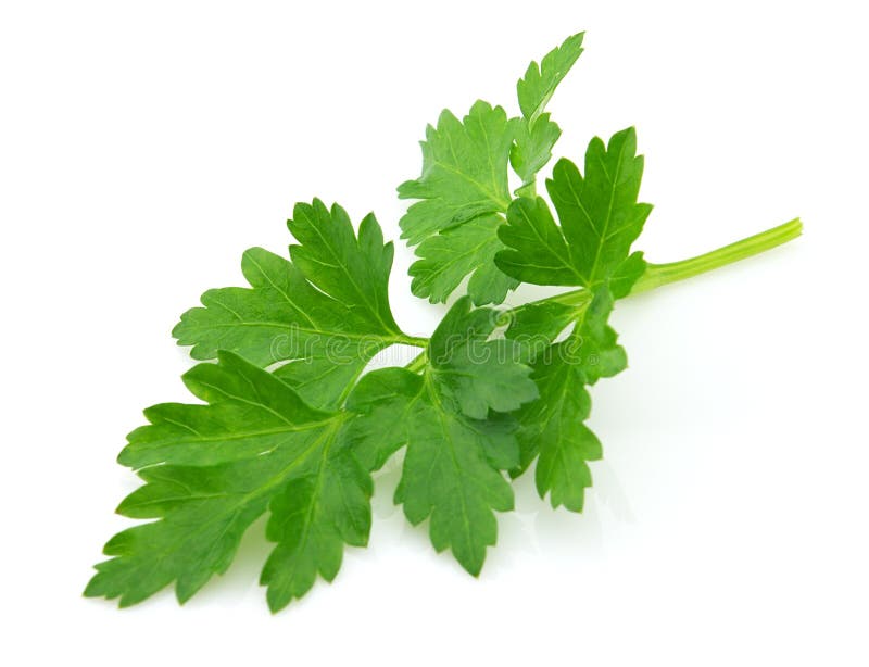 Fresh parsley