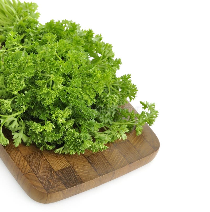 Fresh Parsley stock photo. Image of plant, fresh, organic 22862796