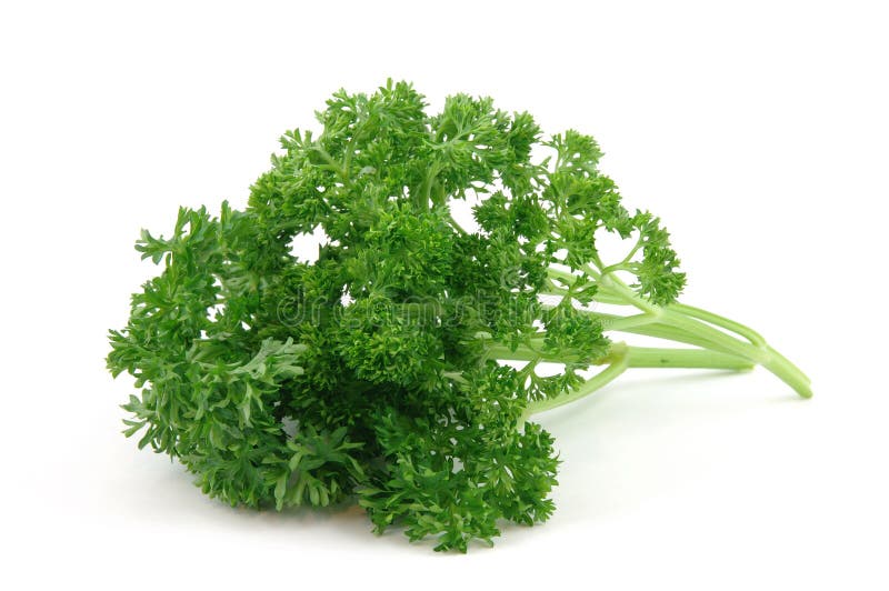 Fresh parsley