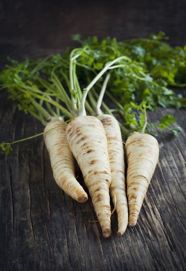 Parsley root stock photo. Image of condiment, ingredient 27132158