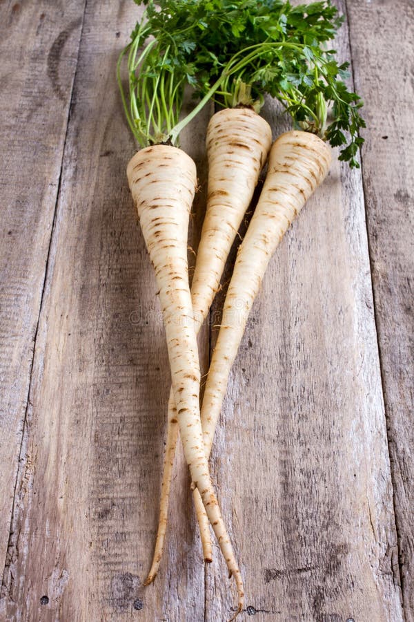 Fresh parsley root