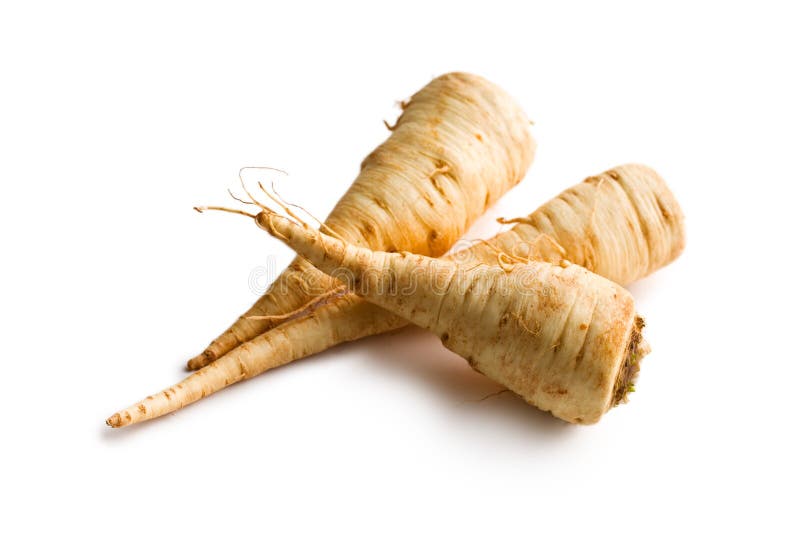 Fresh parsnip stock image