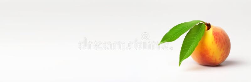 Fresh peach with leaf, isolate on white background. Macro studio shot. AI generated. Header banner mockup with space. stock photos Fresh peach with leaf, isolate on white background. Macro studio shot. AI generated. Header banner mockup with space. stock photos