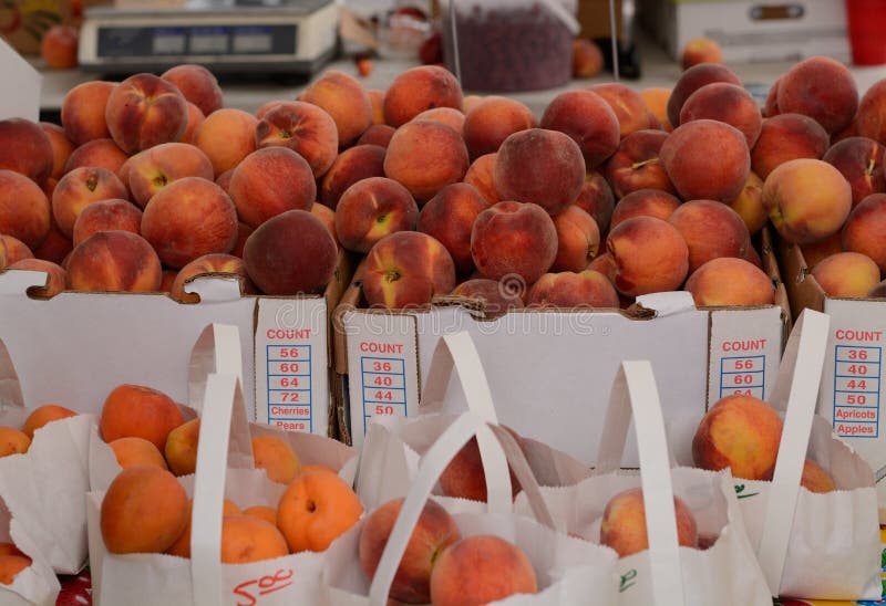 Fresh peaches and apricots royalty free stock images Fresh peaches and apricots royalty free stock images