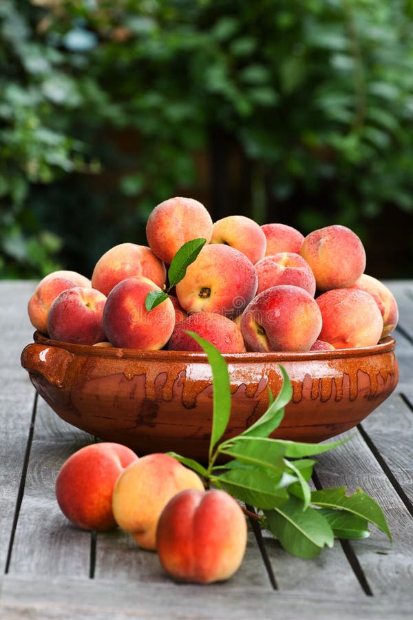 Fresh peaches in a bowl stock image. Image of ripe, orange 23234953