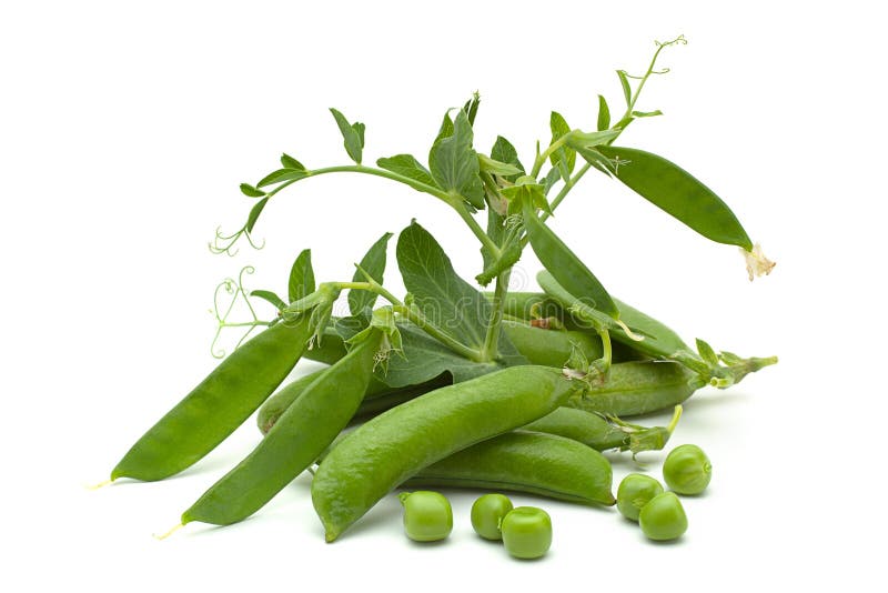Peas bean stock photo. Image of dietary, isolated, peas 2523068