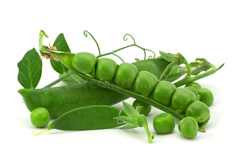 Peas bean stock photo. Image of dietary, isolated, peas 2523068