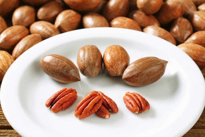 Fresh pecans stock photo. Image of food, shelled, healthy 45580176