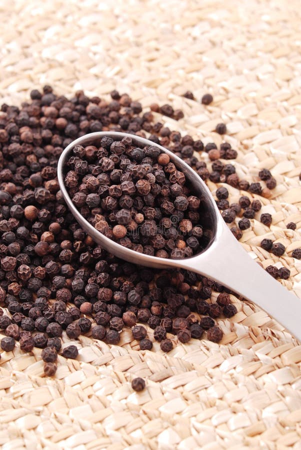 Fresh Peppercorn stock image. Image of nutrition, crop 22510153