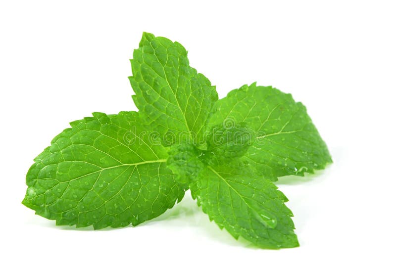 77,043 Peppermint Stock Photos Free & RoyaltyFree Stock Photos from