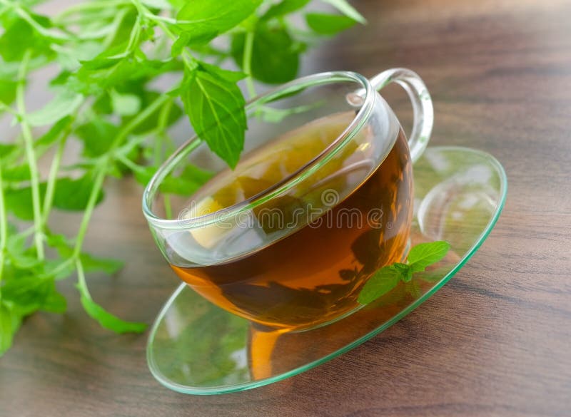 Fresh peppermint tea